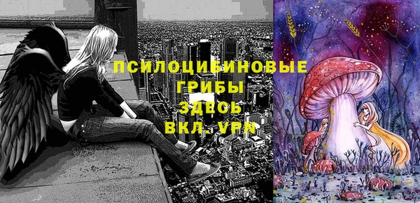 ПСИЛОЦИБИНОВЫЕ ГРИБЫ Покров