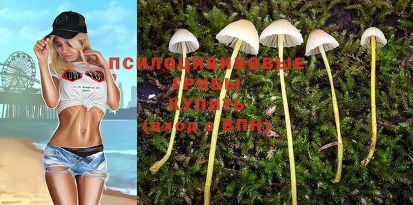 а пвп мука Покачи