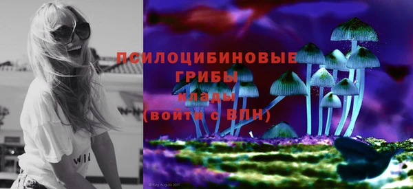 ПСИЛОЦИБИНОВЫЕ ГРИБЫ Покров