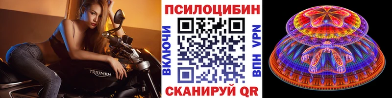 Галлюциногенные грибы Cubensis  блэк спрут зеркало  Чернушка 
